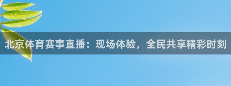小九直播nba