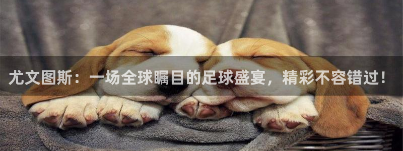 nba小九直播在线观看