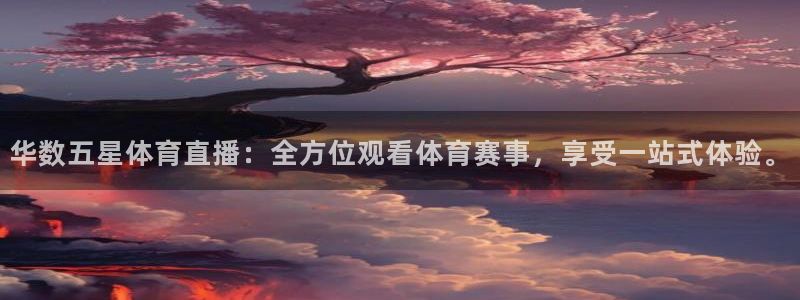 体育新闻