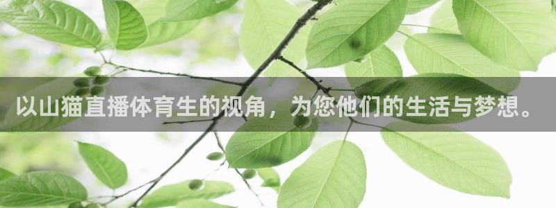 体育新闻